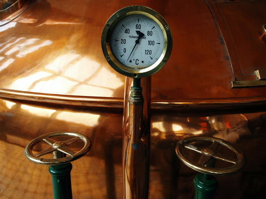 The Importance of Alcohol Fermentation