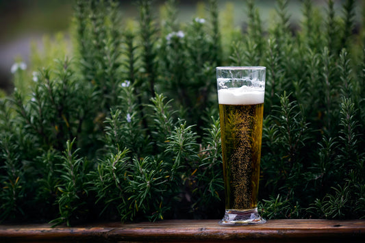 8+ Pros & Cons of Non Alcoholic Beer