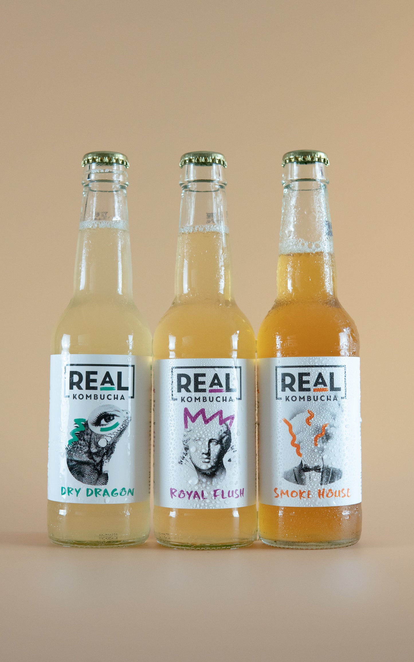 Real Kombucha Mixed Case - LightDrinks