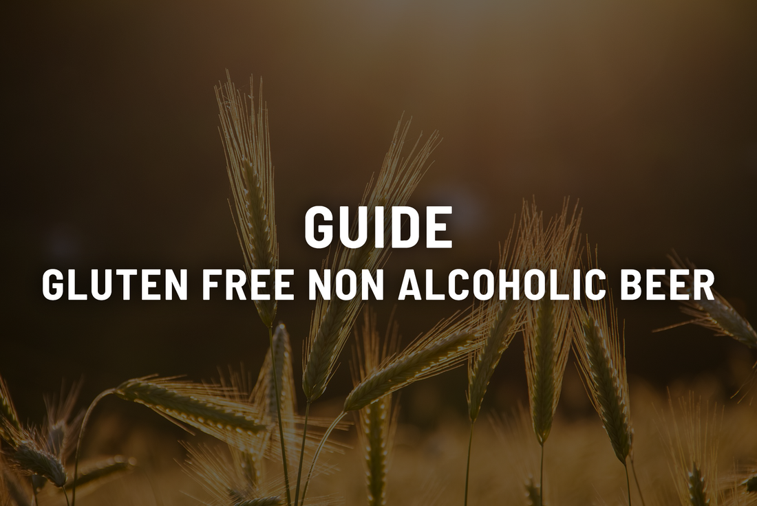 4 Step Guide: Gluten Free Non Alcoholic Beer (Plus 5 of The Best)