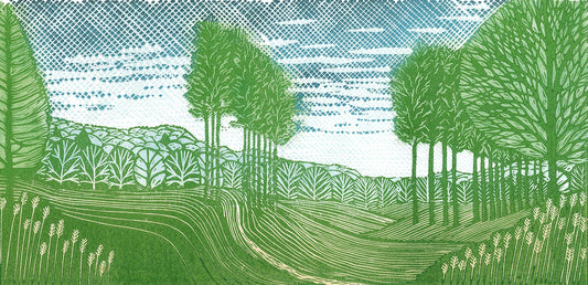 The Midweek Drink - Big Drop Brewing Co Citrus Pale Ale