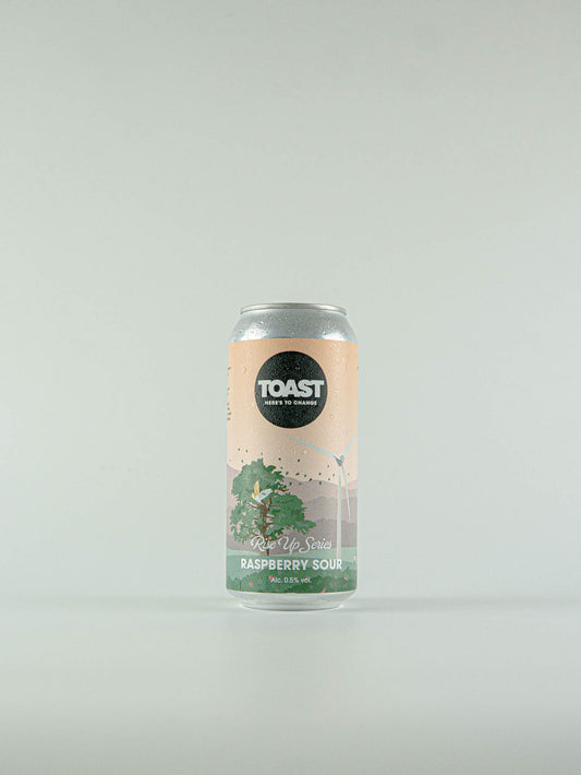 TOAST Raspberry Sour 0.5% - 440ml