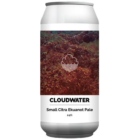 Cloudwater Small Citra Ekuanot Pale 2.9% - 440ml - LightDrinks